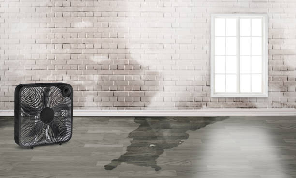  Friendship Heights Village, MD Water damage restoration Pros