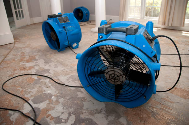 Best Flood restoration services  in Friendship Heights Village, MD