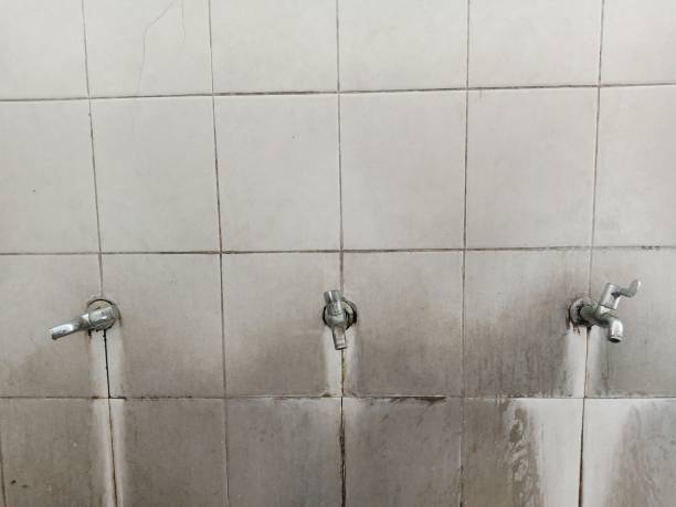 Best Basement water damage restoration  in Friendship Heights Village, MD