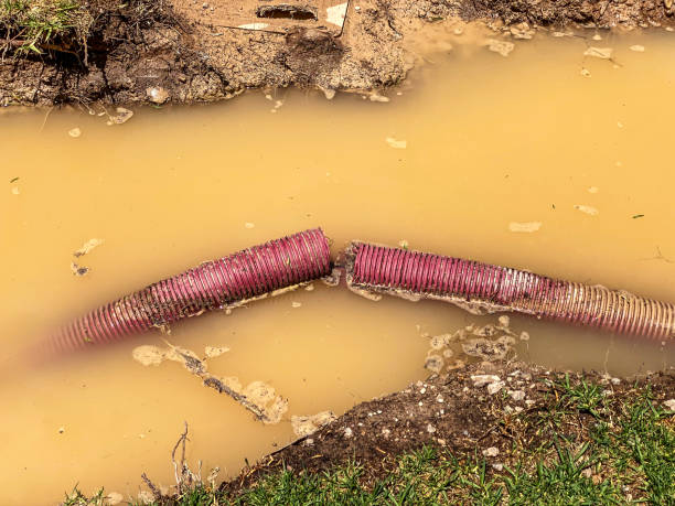 Best Water damage cleanup near me  in Friendship Heights Village, MD